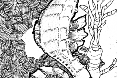 90D90D74